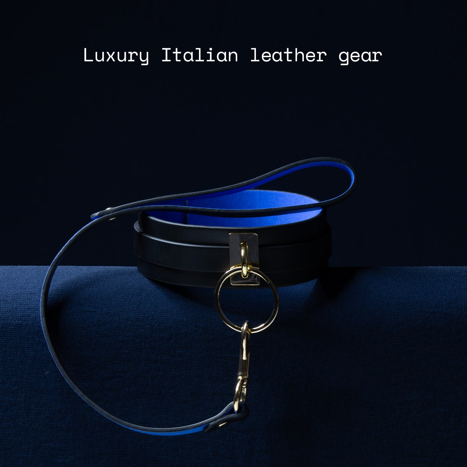 Black leather collar with blue interior and gold clasp on a dark background, labeled 'Luxury Italian leather gear'.
