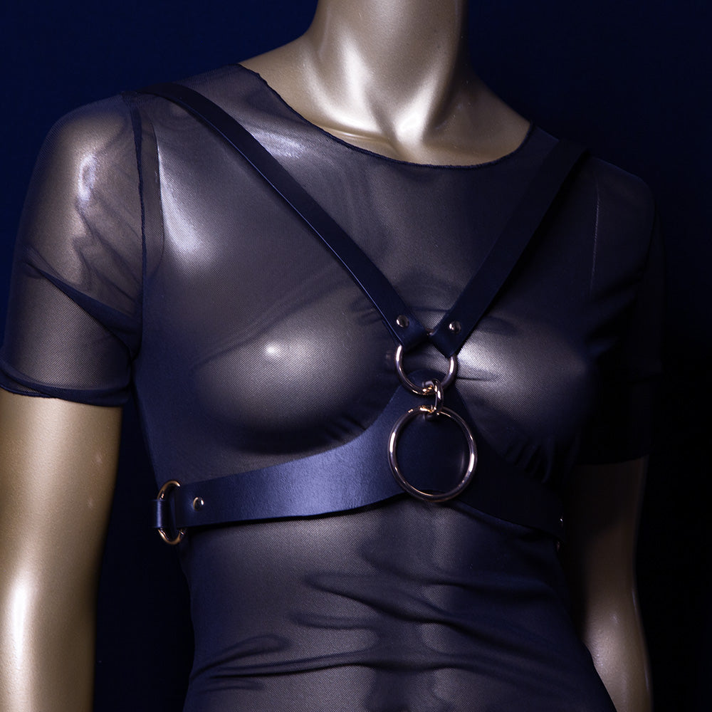 Harness.jpg